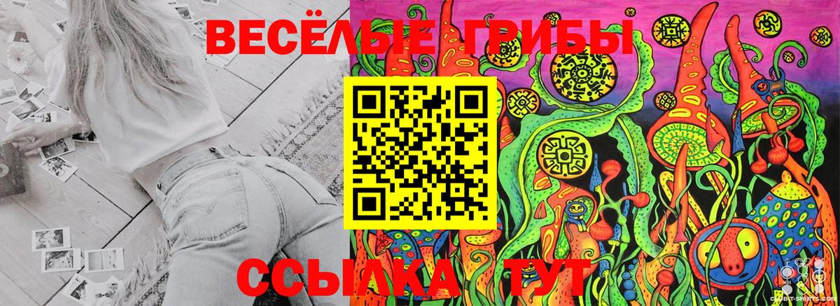 магазин продажи   Галлюциногенные грибы Psilocybine cubensis  Вход с VPN  Тельмана 