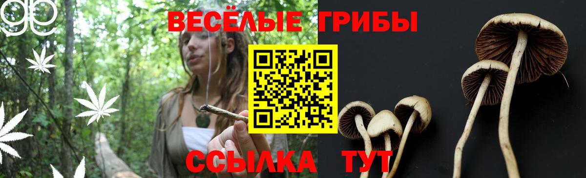 Псилоцибиновые грибы MAGIC MUSHROOMS Тельмана